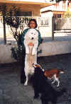 i miei cani.jpg (145976 bytes)